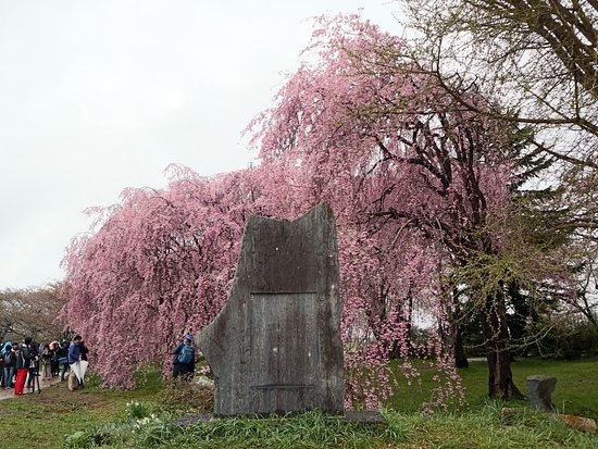 Công viên Kitakami Tenshochii, Iwate, Tohoku, Nhật Bản