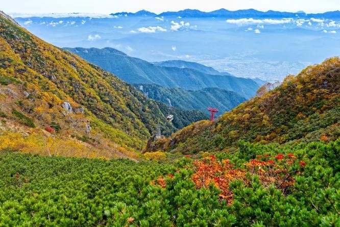 Dãy núi Alps Trung tâm