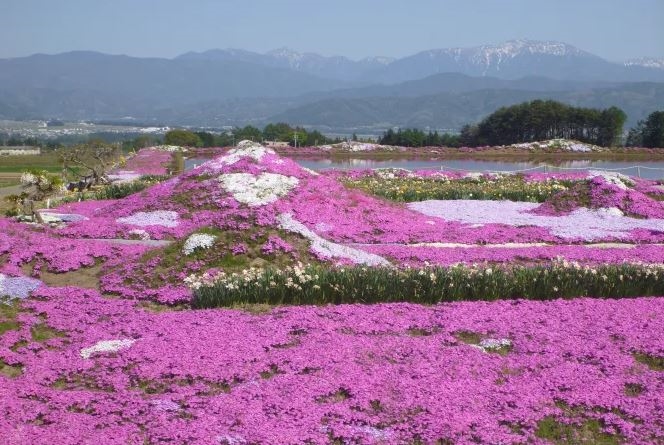 Dãy núi Alps Trung tâm