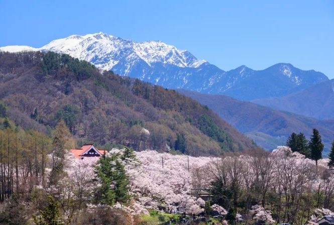 Dãy núi Alps Trung tâm