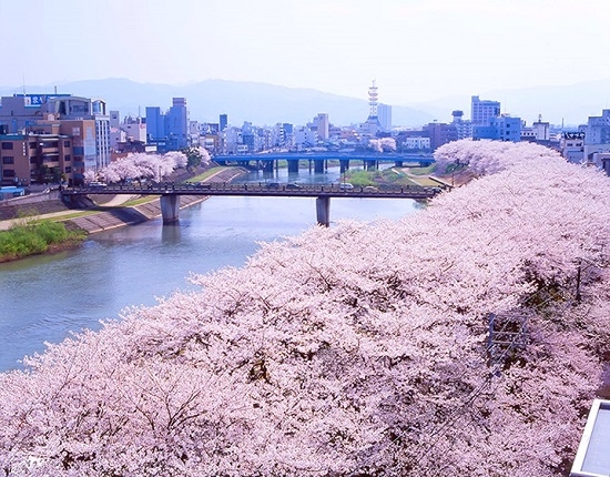 Fukui, Hokuriku Shinetsu, Nhật Bản