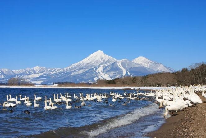 Hồ Inawashiro, Fukushima, Tohoku, Nhật Bản