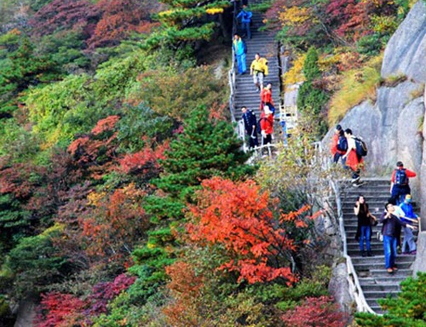 khắp Hoàng Sơn được bao phủ bởi hàng ngàn sắc xuân