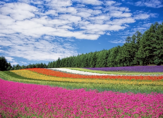 Hokkaido – Vùng đất thần kỳ của Nhật Bản