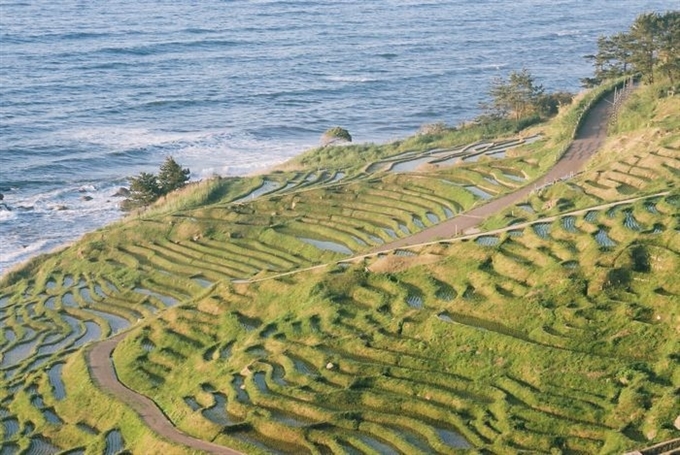 Hokuriku Shinetsu, Nhật Bản