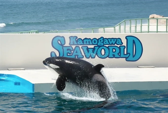 Kamogawa Seaworld, Bán đảo Boso, Chiba, Kanto, Nhật Bản