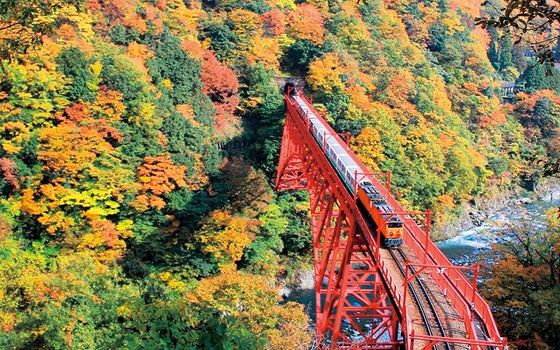 Du Lịch Nhật Bản Mùa Thu Shirakawago - Kurobe Kyokoku - Phú Sĩ - Tokyo