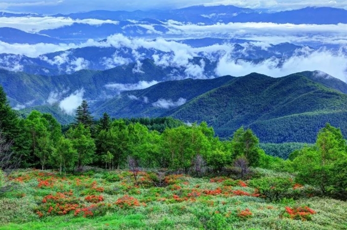 Matsumoto, Nagano, Hokuriku Shinetsu, Nhật Bản