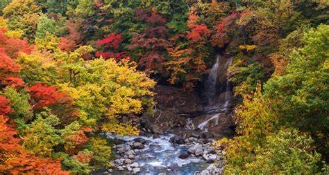 Những đặc điểm nổi bật theo mùa ở Miyagi, Tohoku, Nhật Bản