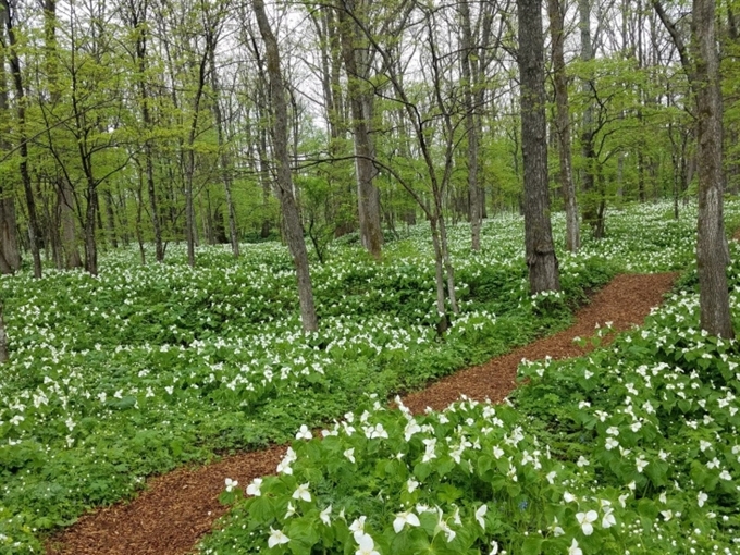 Obihiro - Những chuyến phiêu lưu ngoài trời và suối nước nóng thư giãn, Hokkaido, Nhật Bản