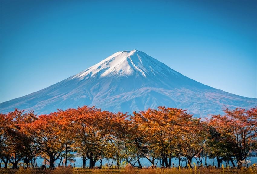 Du lịch Nhật Bản: Tokyo - Núi Phú Sỹ - Kyoto - Osaka