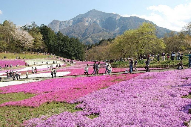 Saitama, Kanto, Nhật Bản