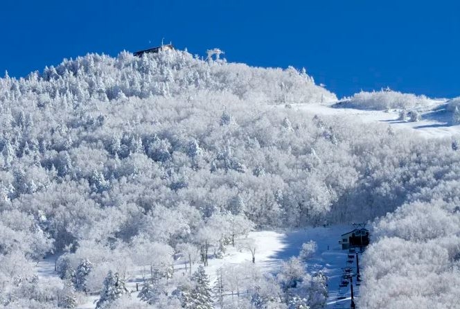 Khu Trượt tuyết Shiga Kogen, Nagano, Hokuriku Shinetsu, Nhật Bản