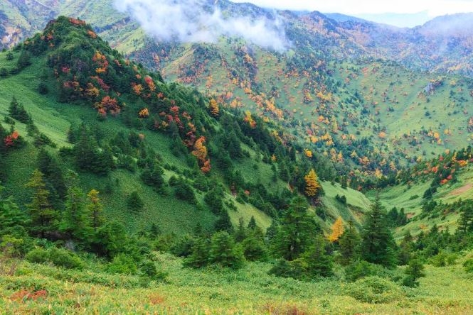 Shiga Kogen, Nagano, Hokuriku Shinetsu, Nhật Bản