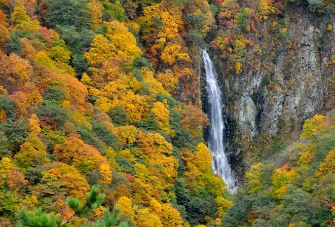 Shiga Kogen, Nagano, Hokuriku Shinetsu, Nhật Bản