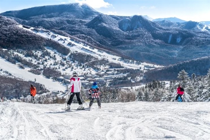 Khu Trượt tuyết Shiga Kogen, Nagano, Hokuriku Shinetsu, Nhật Bản