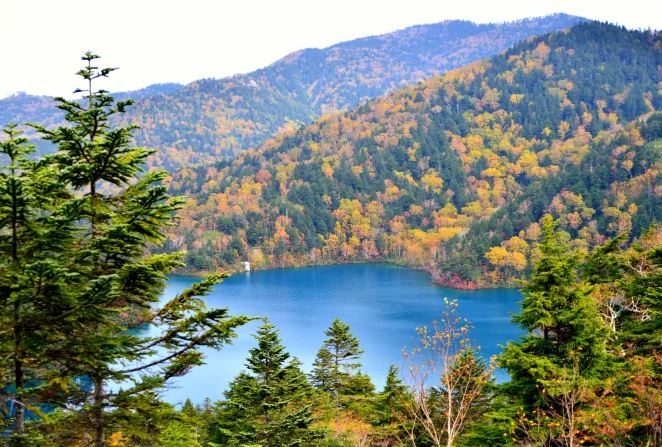 Shiga Kogen, Nagano, Hokuriku Shinetsu, Nhật Bản