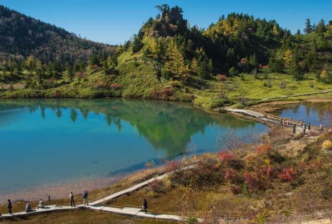 Shiga Kogen, Nagano, Hokuriku Shinetsu, Nhật Bản