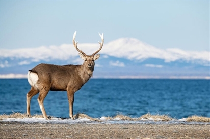 Giới thiệu về Hokkaido Nhật Bản