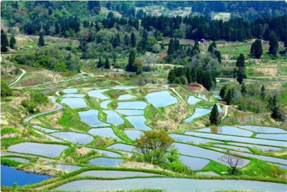 Ruộng bậc thang Hoshitoge, Niigata, Hokuriki shinetsu, Nhật Bản