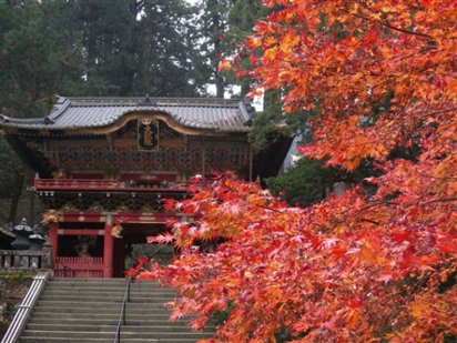 Địa điểm ngắm lá đỏ mùa thu tuyệt đẹp tại Sendai, Nhật Bản