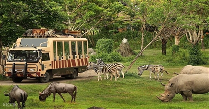 Vinpearl Safari Phú Quốc có gì chơi? Kinh nghiệm tham quan vườn thú Safari