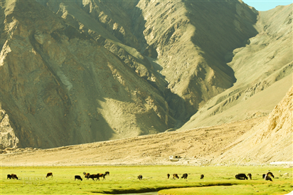 Thiên nhiên kỳ vĩ ở Ladakh