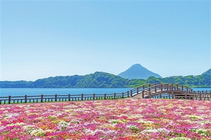 Du lịch Nhật Bản Sắc hoa Kagoshima (6 Ngày)