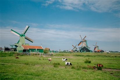 Làng quê Zaanse Schans, Hà Lan