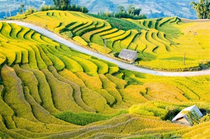 Thời điểm đẹp nhất để du lịch Y Tý - Bắc Hà