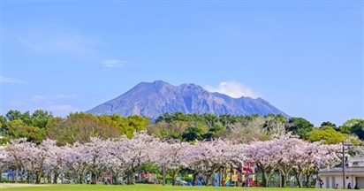 Du lịch Nhật Bản Sắc hoa Kagoshima