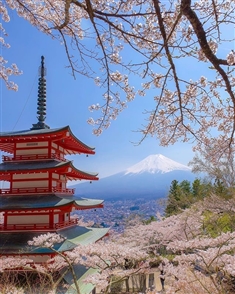 Tokyo vừa mang phong thái thành phố tương lai vừa giàu giá trị lịch sử