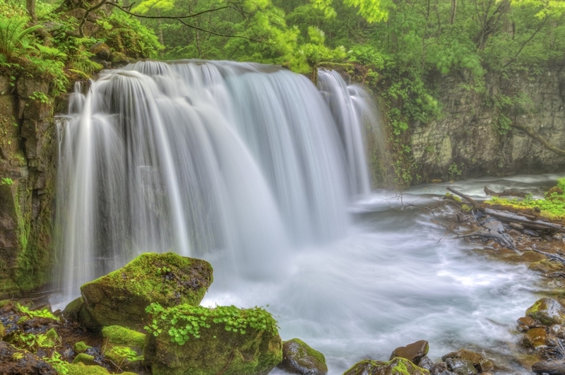 Tohoku, Nhật Bản