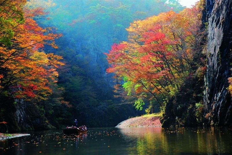 Tohoku, Nhật Bản