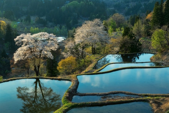 Tokamachi, Niigata, Hokuriku Shinetsu, Nhật Bản