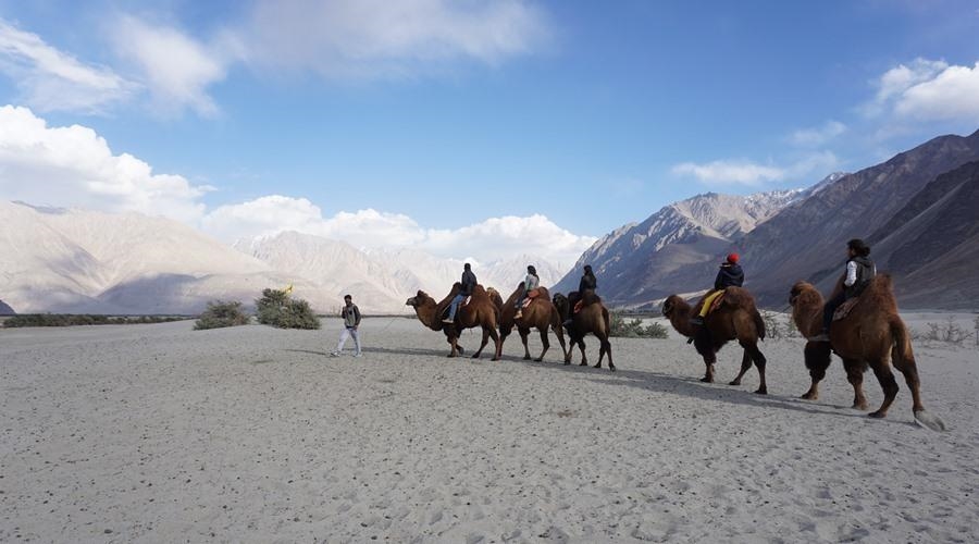Tour Ấn Độ trọn gói tham quan vùng Ladakh khởi hành từ Leh 7 ngày