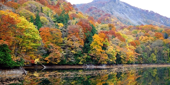 Shirakami Sanchi (Aomori), Tohoku, Nhật Bản