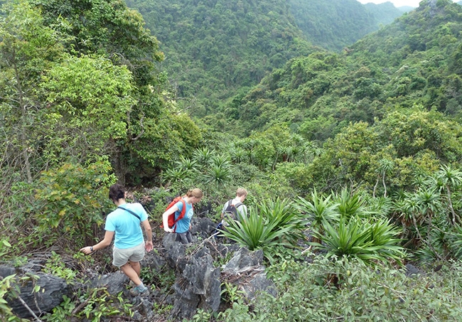Tour du lịch Cát Bà – Vịnh Lan Hạ – Đảo Khỉ