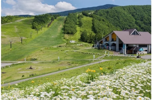 Yonezawa, Tohoku, Nhật bản